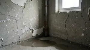 ile kosztuje remont piwnicy